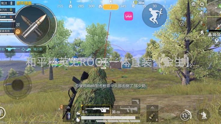 和平直装 全新项目【冰墩墩】